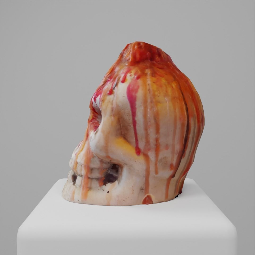 Skull Candle Photoscan 3D model_2