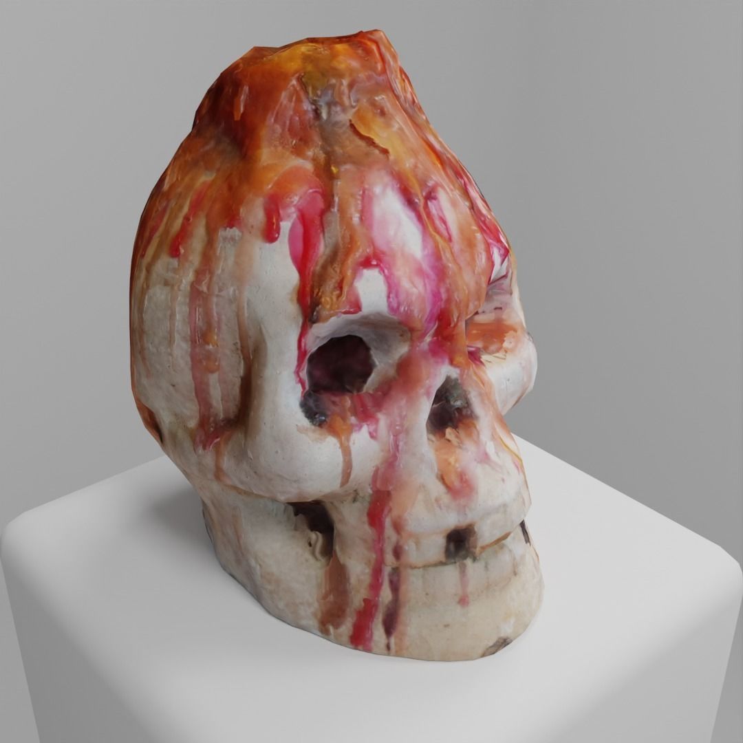 Skull Candle Photoscan 3D model_10