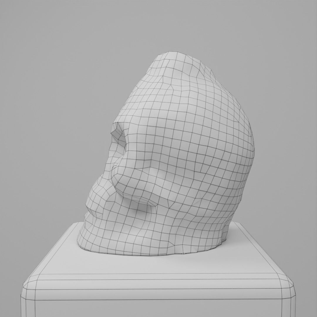 Skull Candle Photoscan 3D model_3