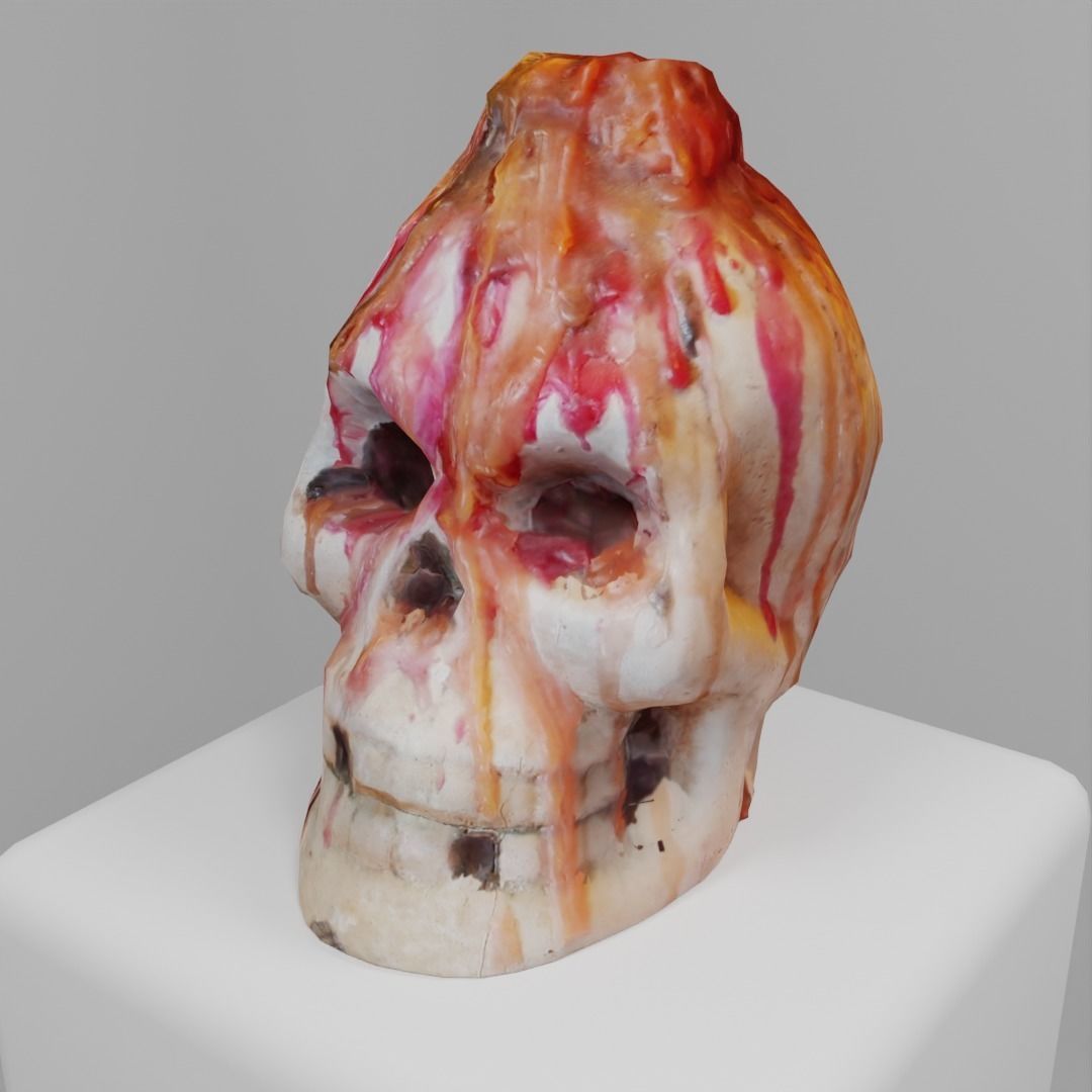 Skull Candle Photoscan 3D model_9
