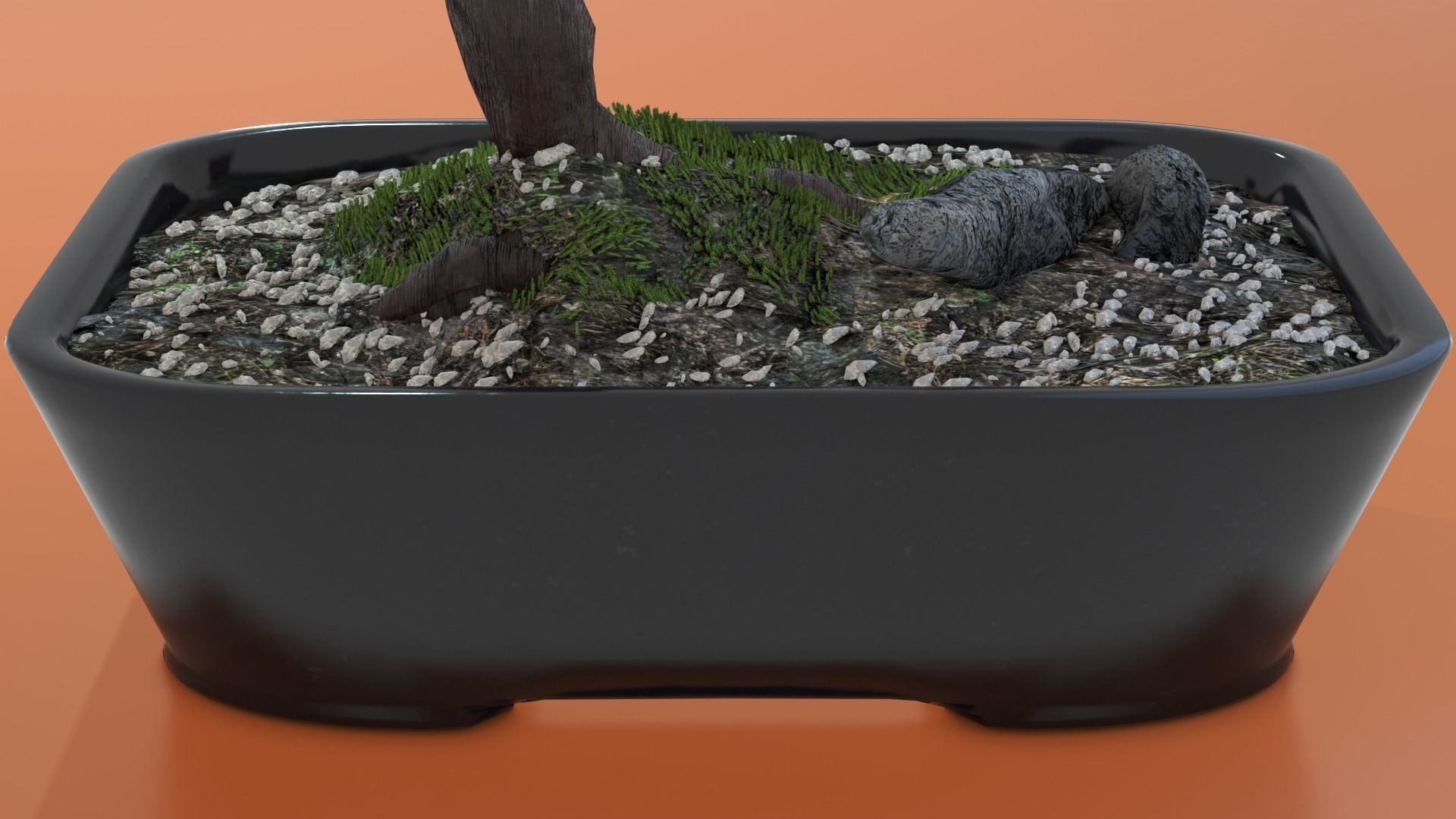 Bonsai tree in pot Free 3D model_8