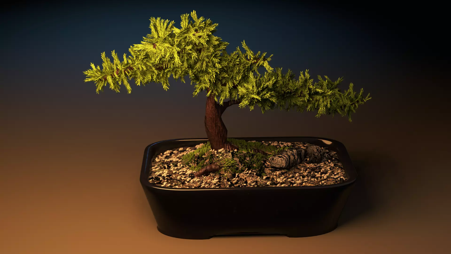 Bonsai tree in pot Free 3D model_0