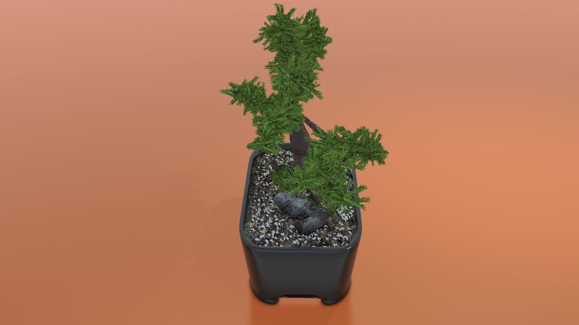 Bonsai tree in pot Free 3D model_6