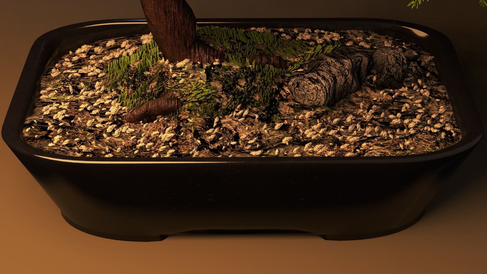 Bonsai tree in pot Free 3D model_9