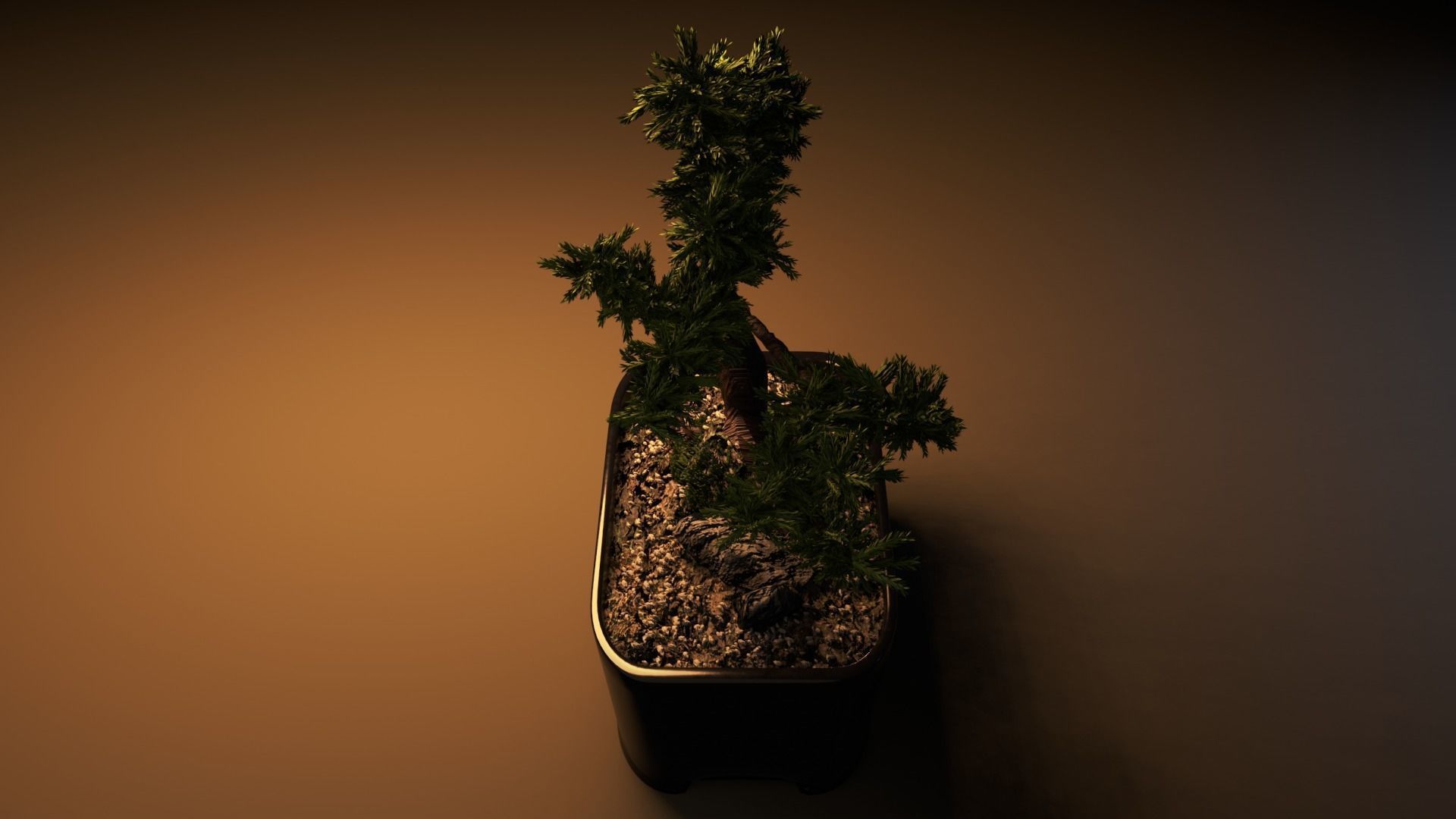 Bonsai tree in pot Free 3D model_7