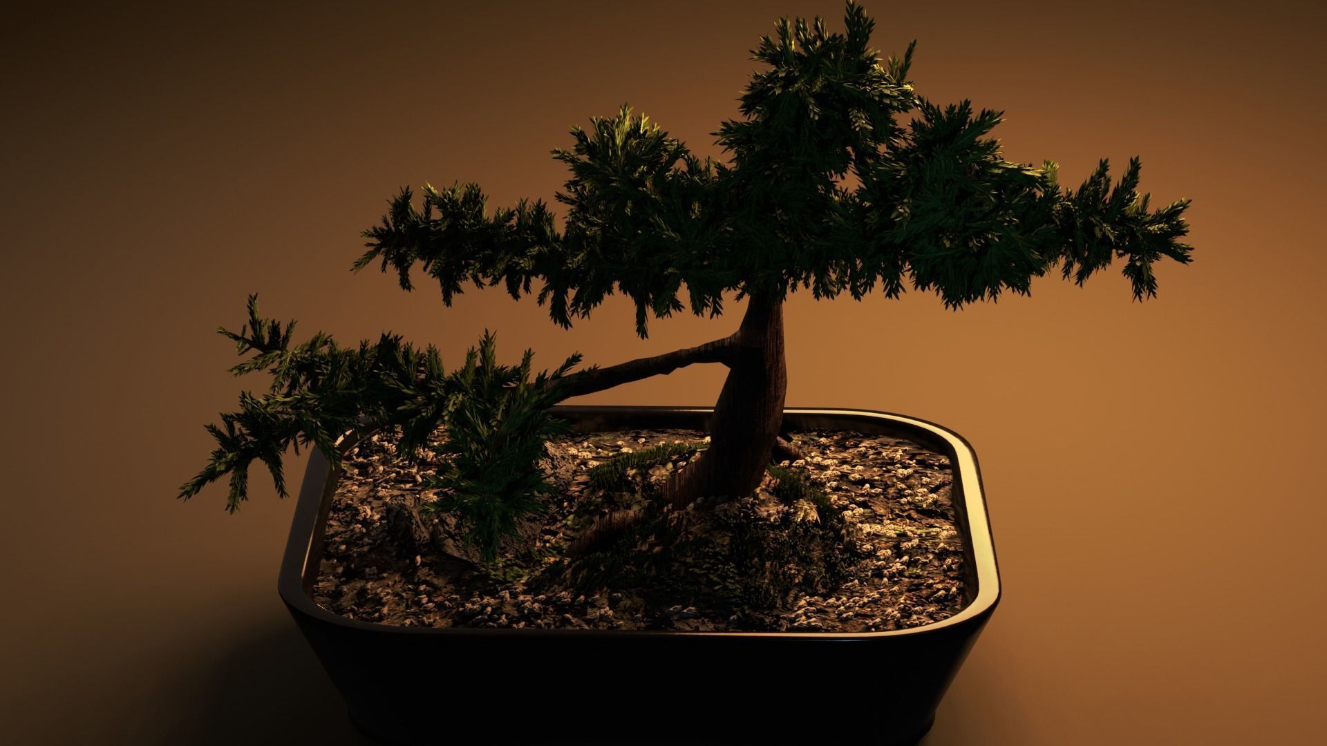 Bonsai tree in pot Free 3D model_5