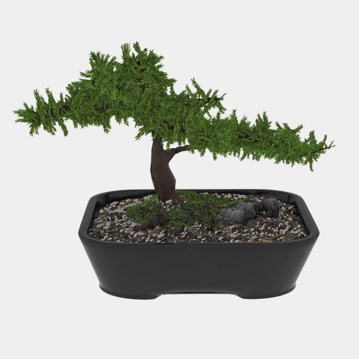 Bonsai tree in pot Free 3D model_11