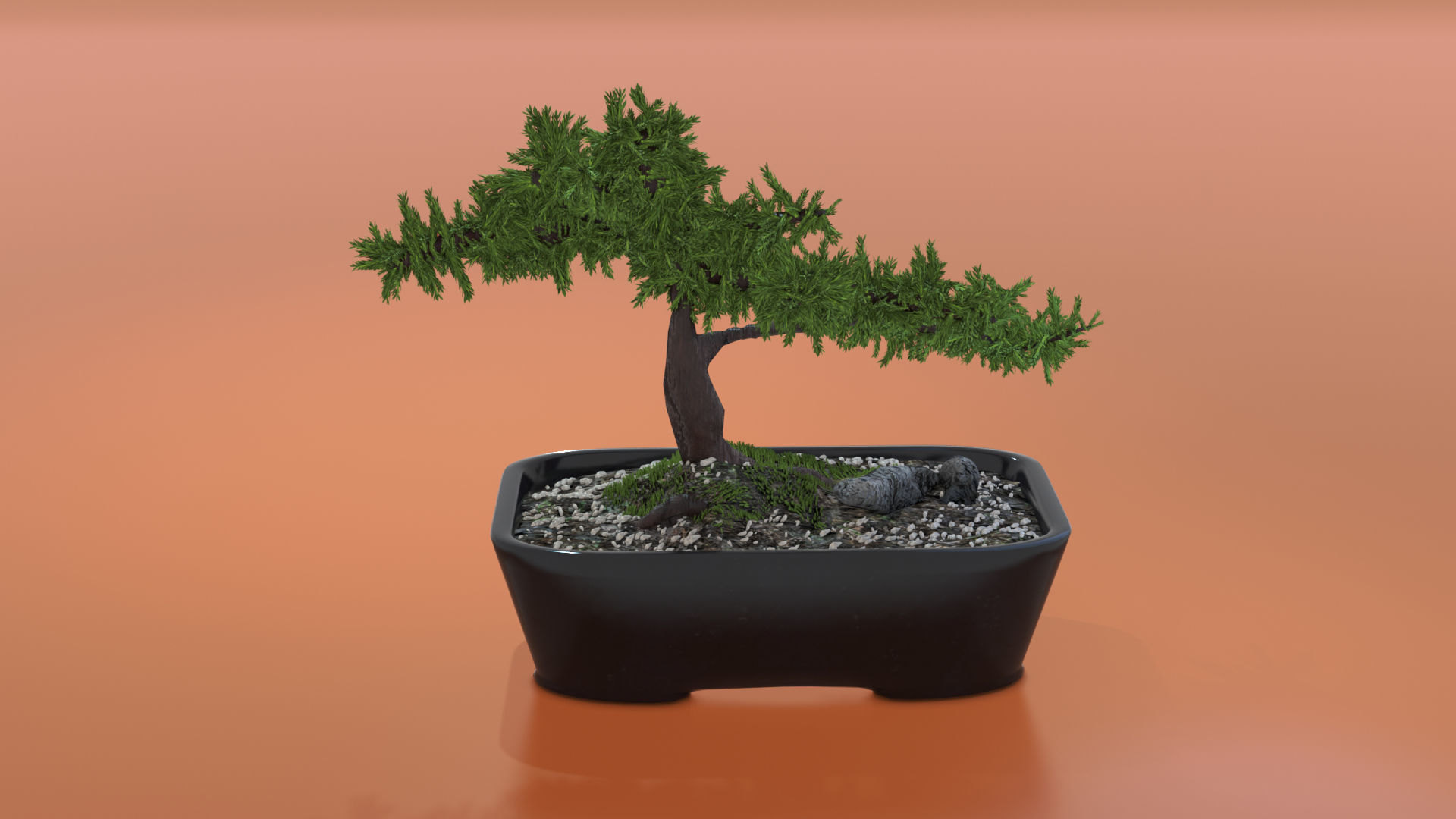 Bonsai tree in pot Free 3D model_1