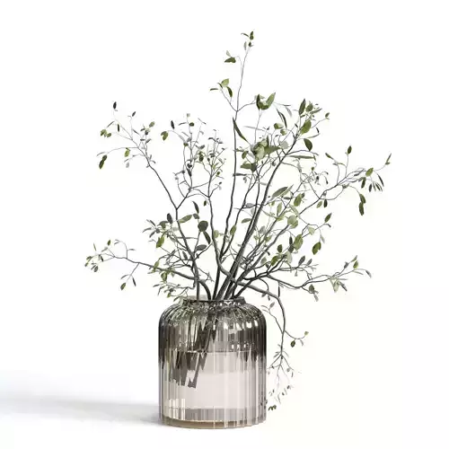 Branches plant with galss vase white