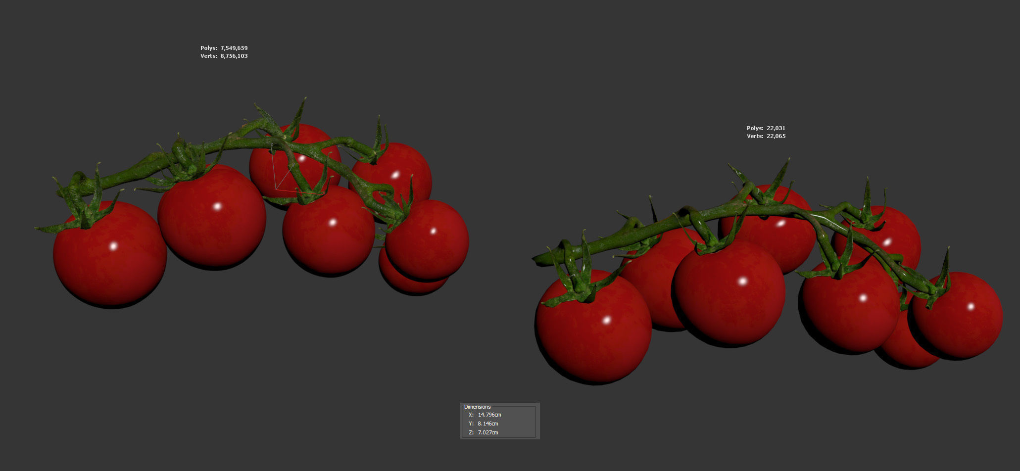 Tomato 3D model_5