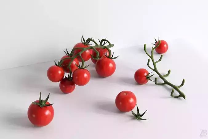 Tomato 3D model