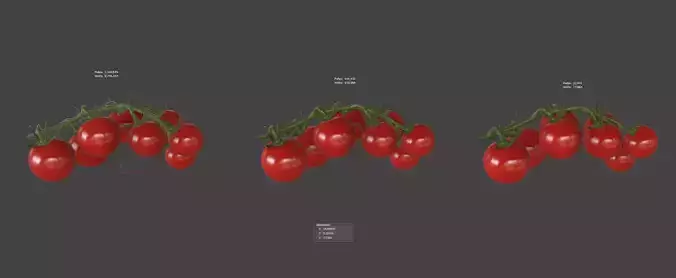 Tomato 3D model 6
