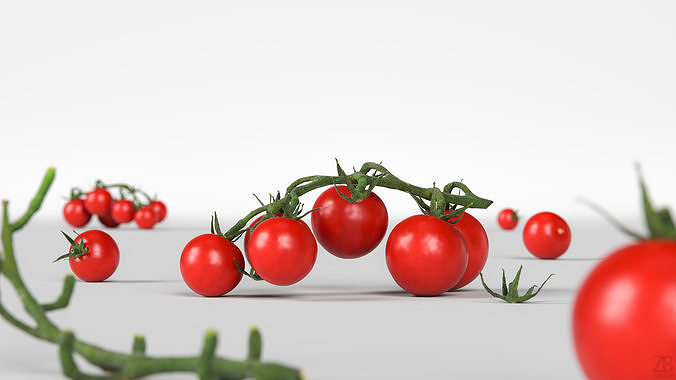 Tomato 3D model 2
