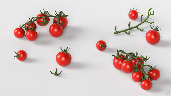 Tomato 3D model 3