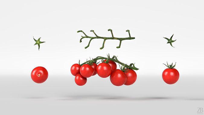 Tomato 3D model 5