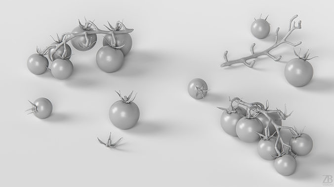 Tomato 3D model 4