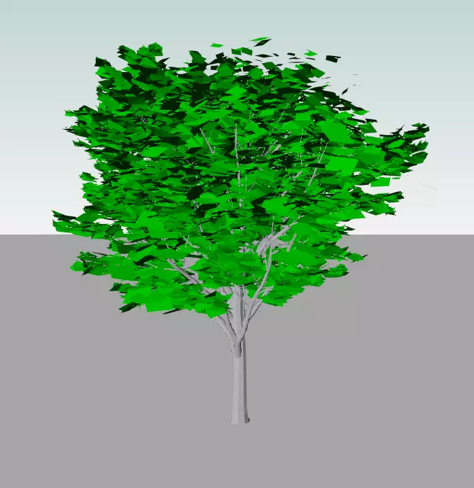 Montpellier Maple Tree For Revit Free 3D model