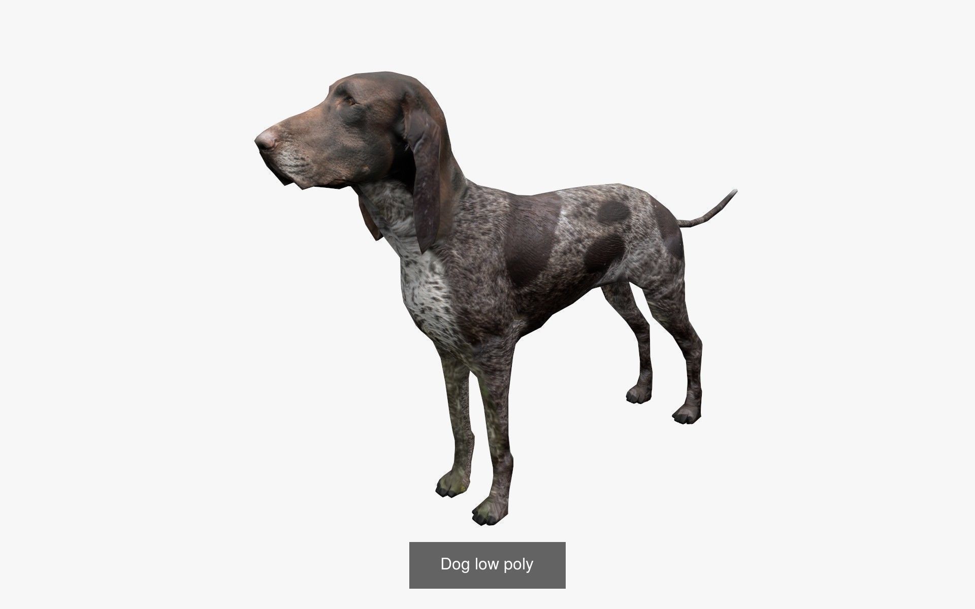 Generic animals low poly collection _2