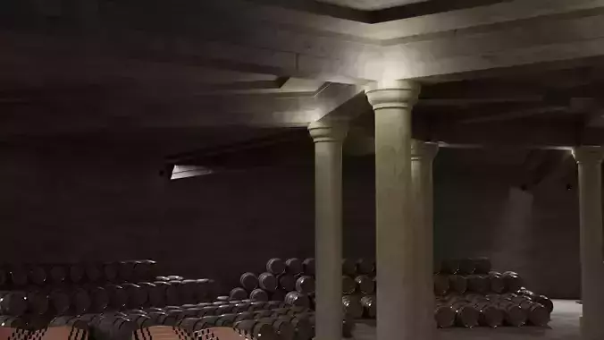Wine cellar 3D model