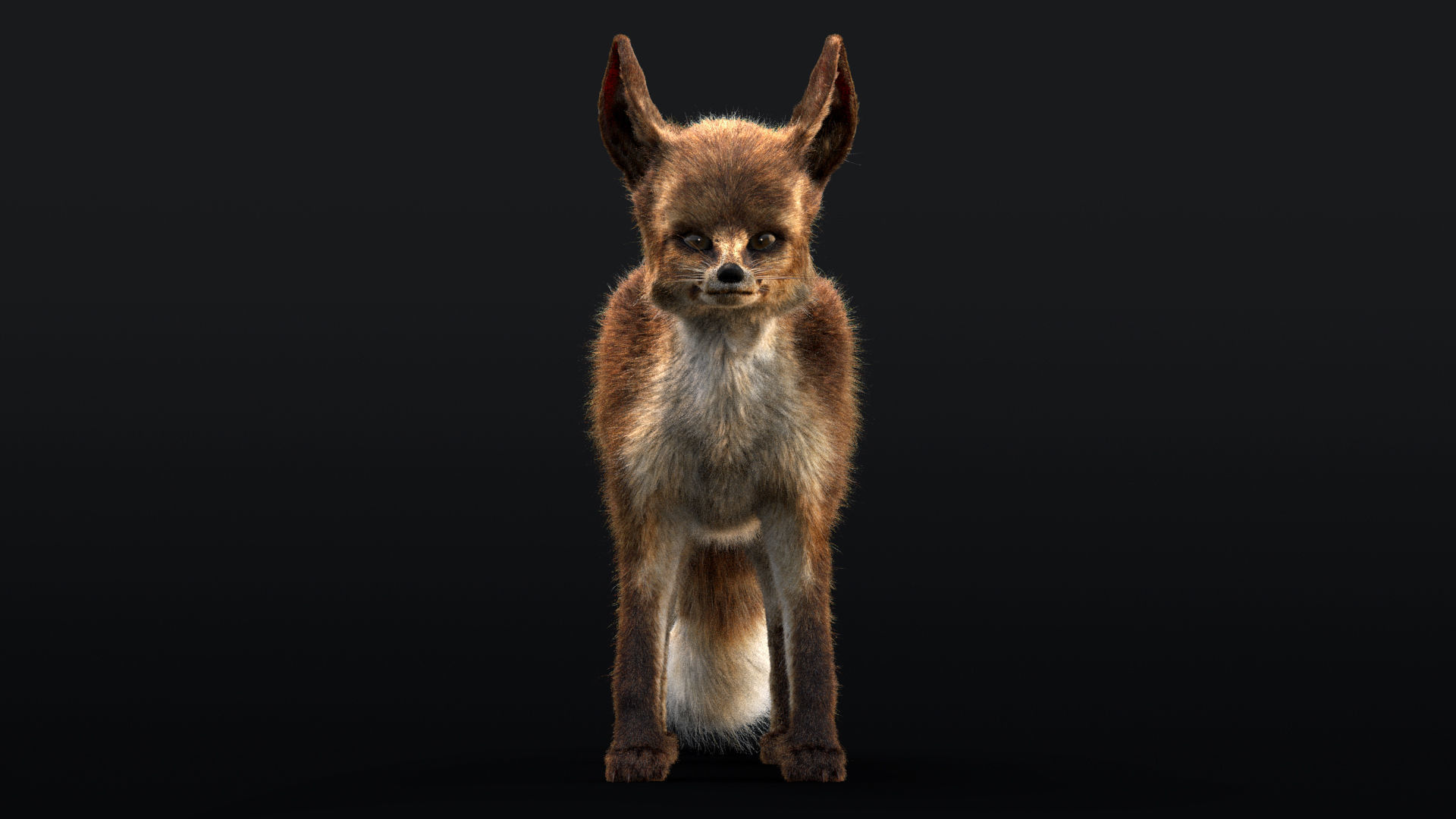 Blanfords Fox Low-poly 3D model_7