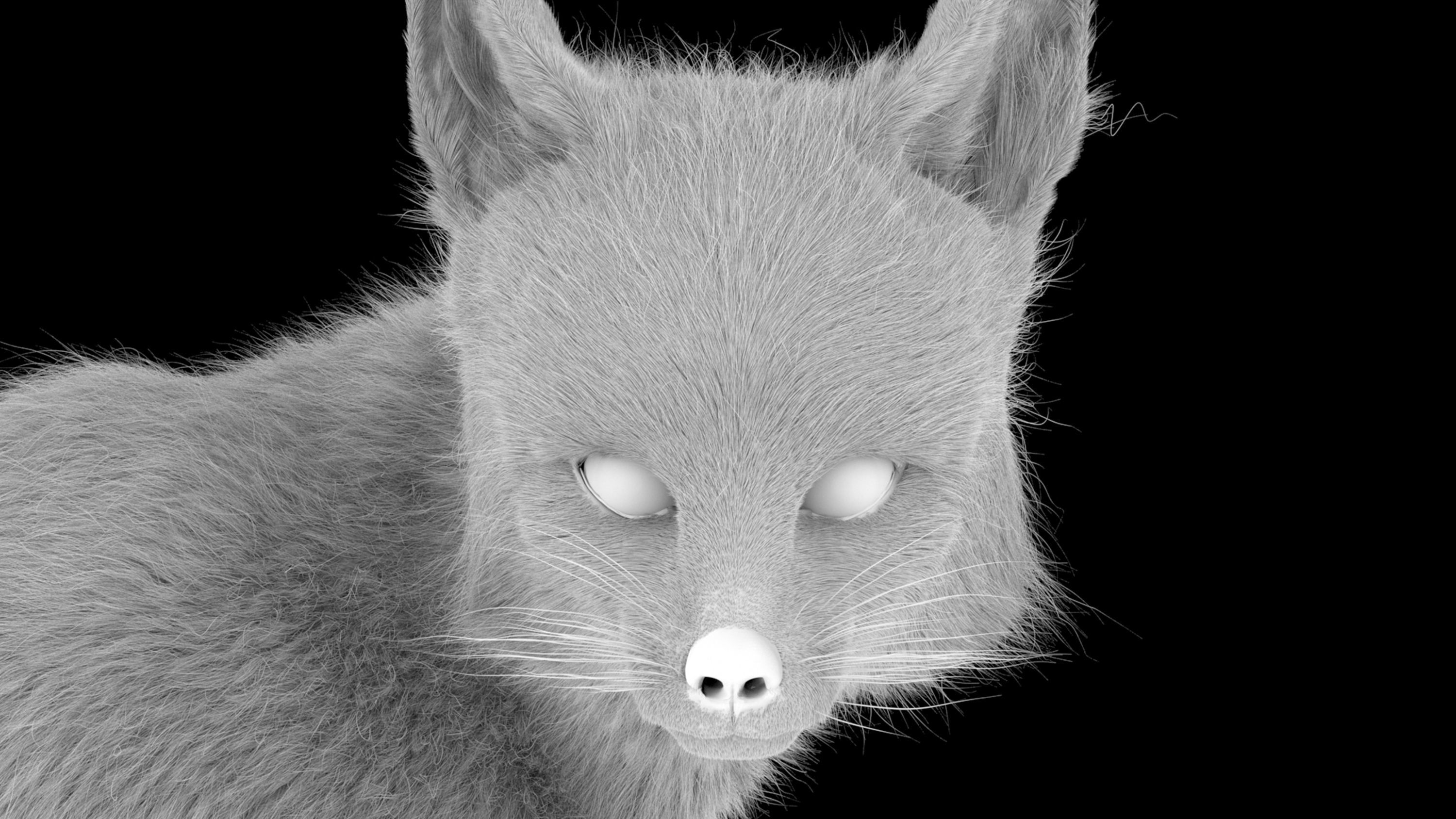 Blanfords Fox Low-poly 3D model_4