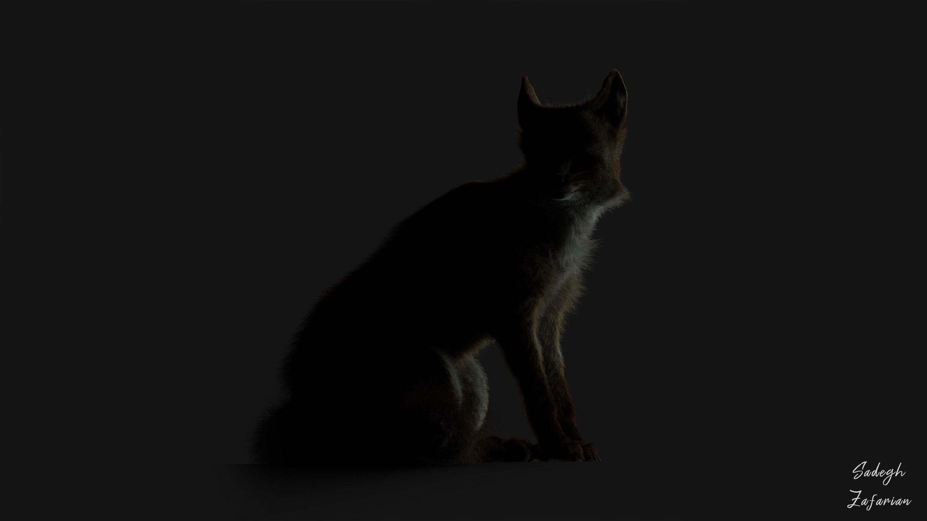 Blanfords Fox Low-poly 3D model_22