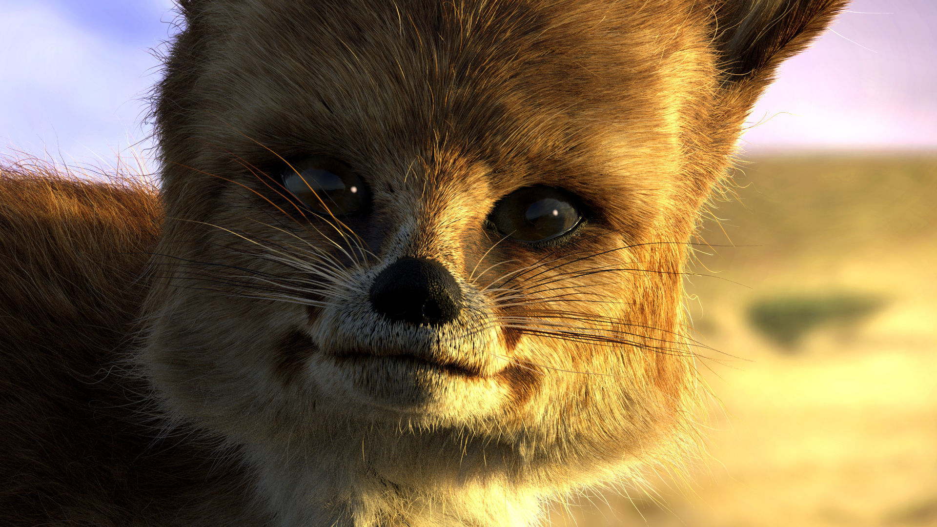 Blanfords Fox Low-poly 3D model_11