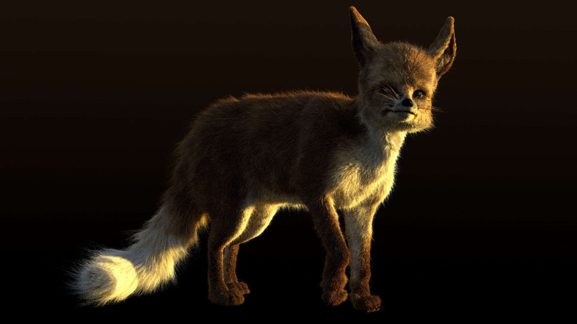 Blanfords Fox Low-poly 3D model_13