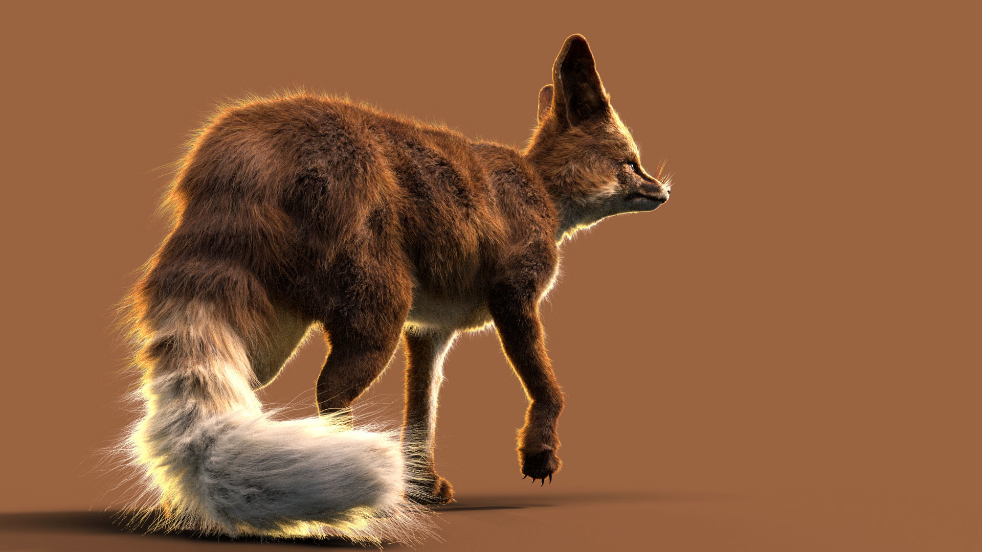 Blanfords Fox Low-poly 3D model_12