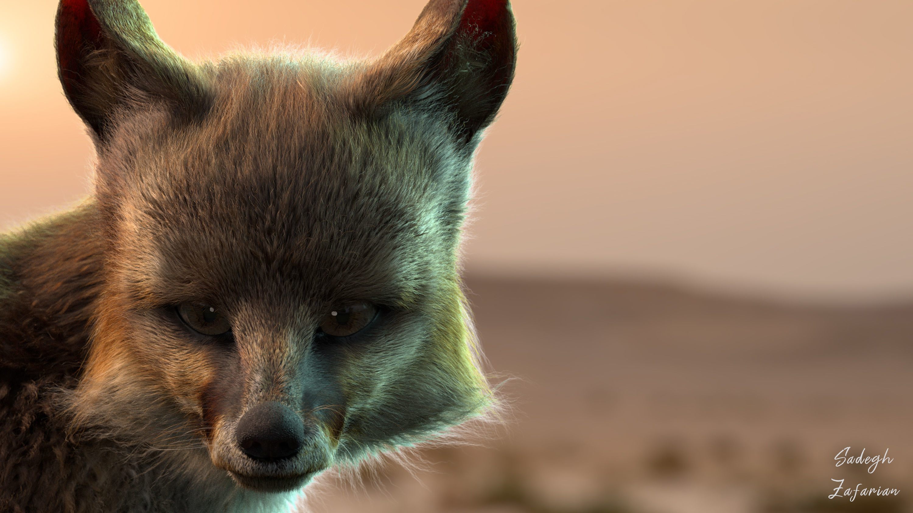 Blanfords Fox Low-poly 3D model_2