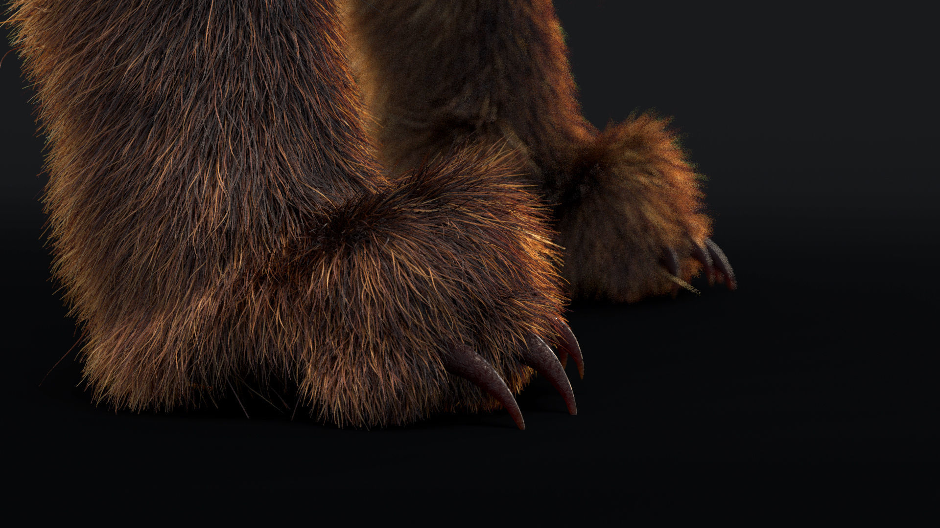 Blanfords Fox Low-poly 3D model_9