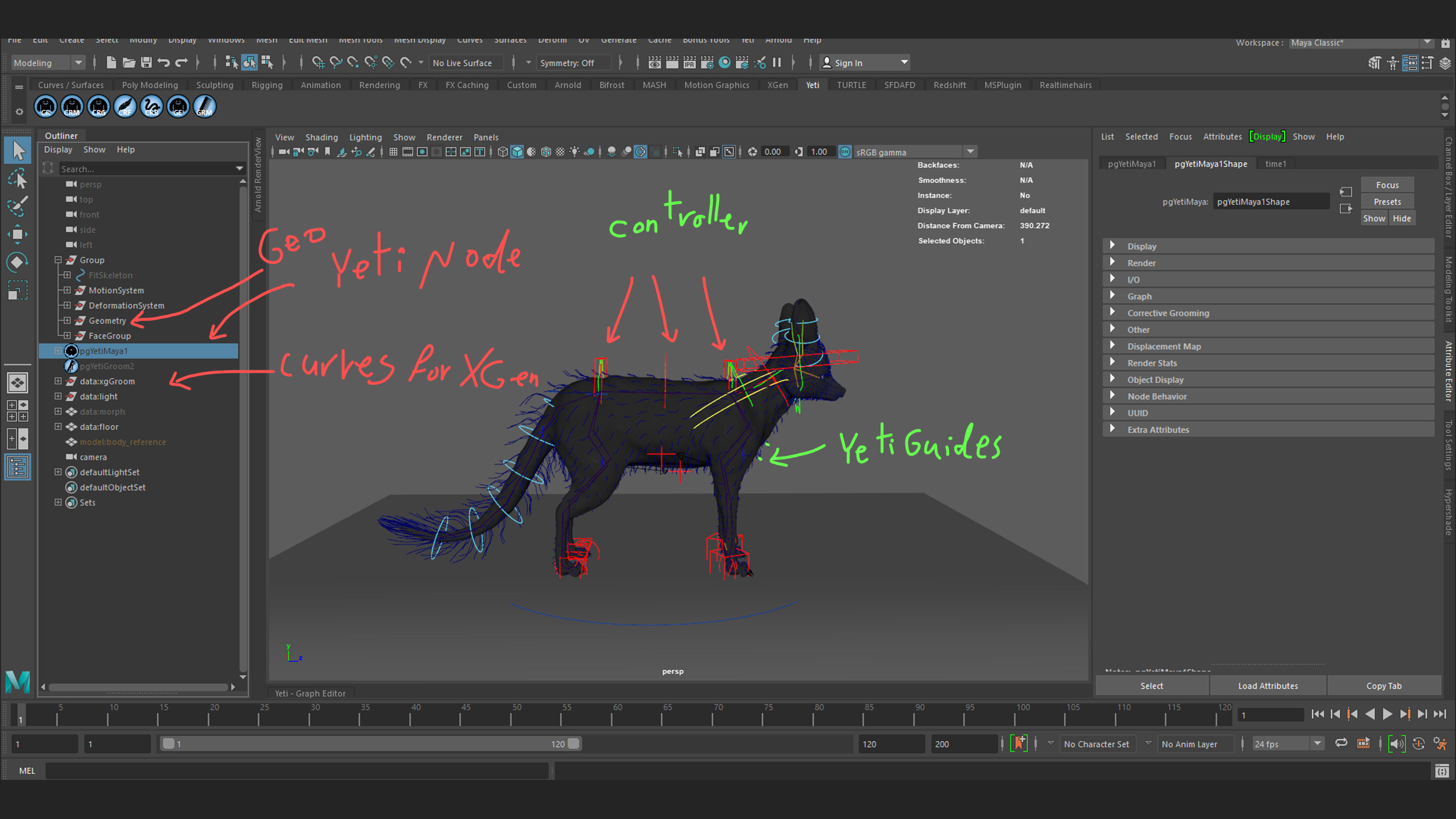 Blanfords Fox Low-poly 3D model_17