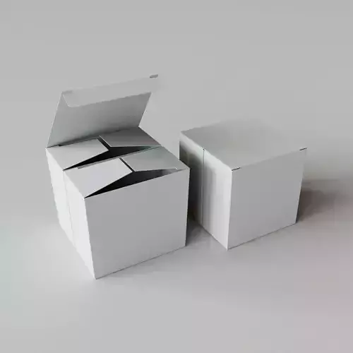 DOUBLE FOLDED BOX - Package 3D model 3D model