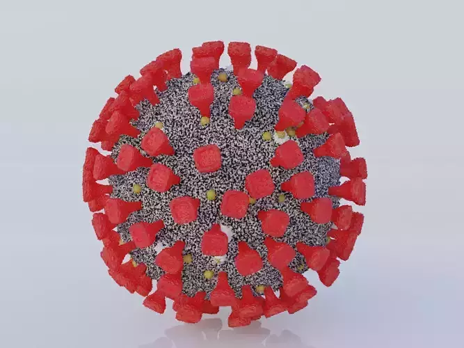 3D Covid 19