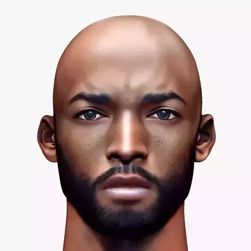 Black african male head Realistic Perfect Head Low-poly 3D  Low-poly 3D model