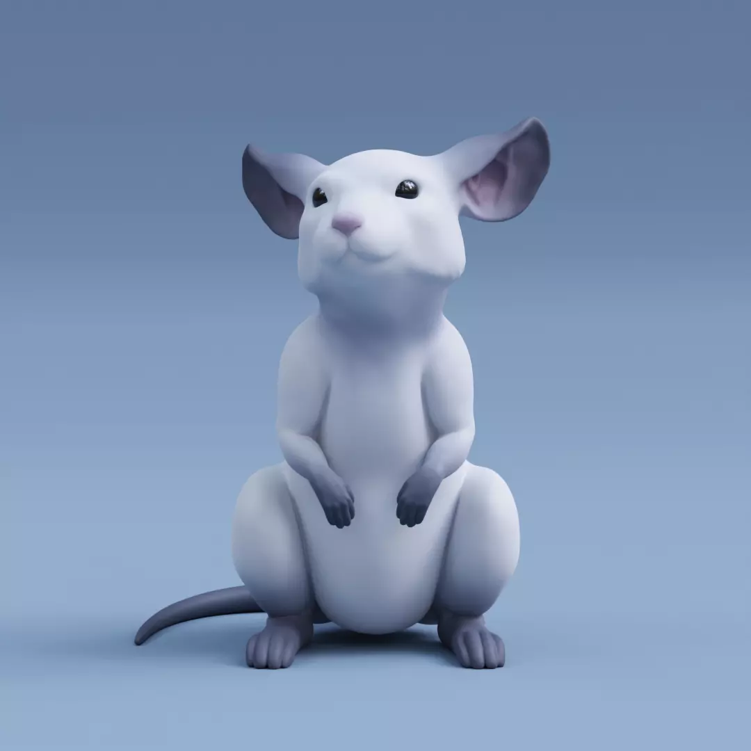 Mouse rat 3D print model_0