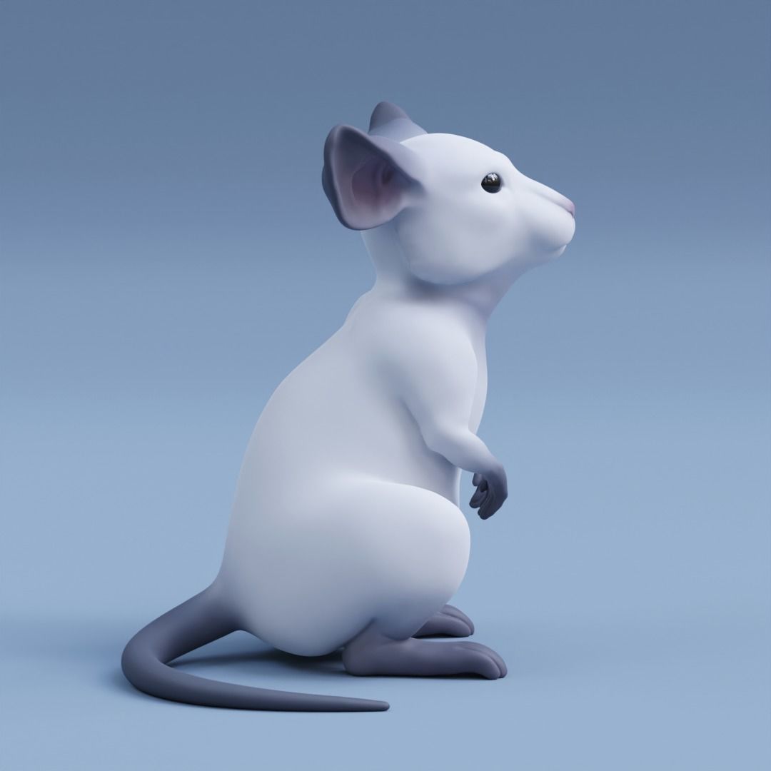 Mouse rat 3D print model_2