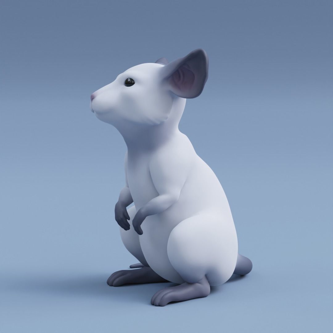 Mouse rat 3D print model_4