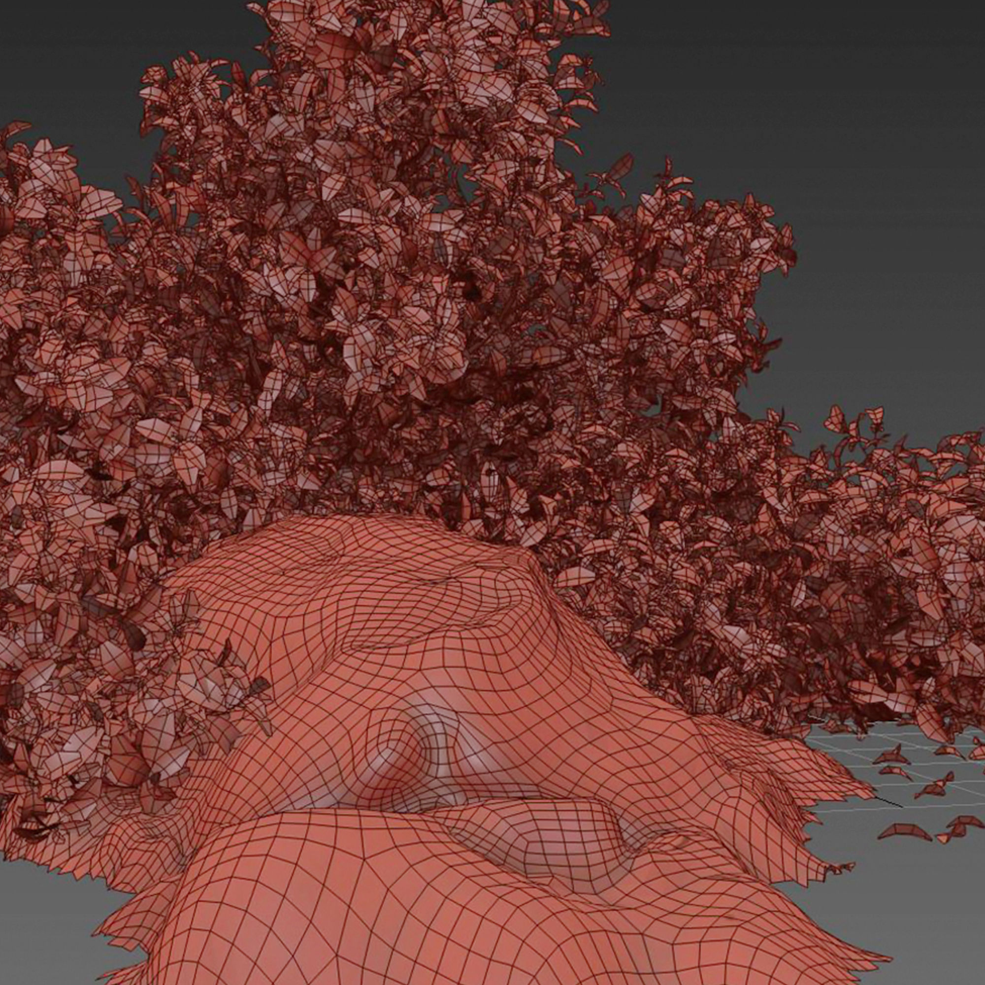 Golden Euonymus bush with rock 3D model_6