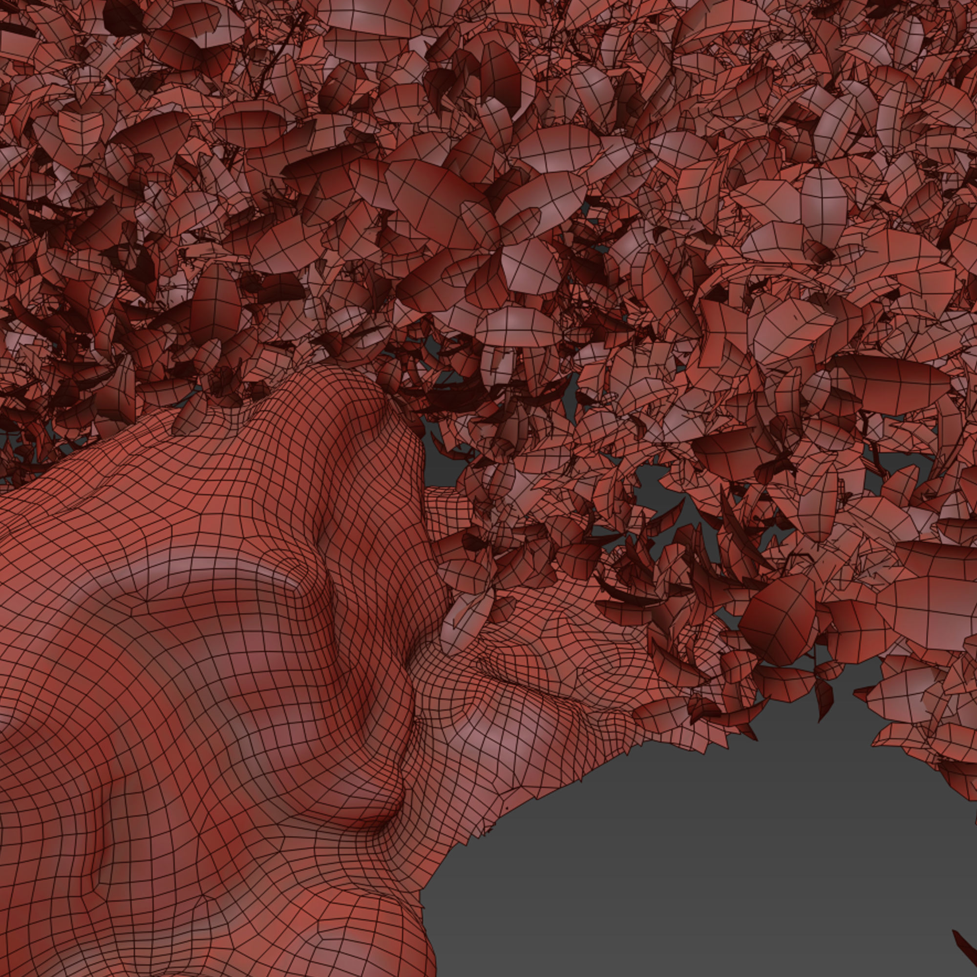 Aronia melanocarpa bush with rocks 3D model_7