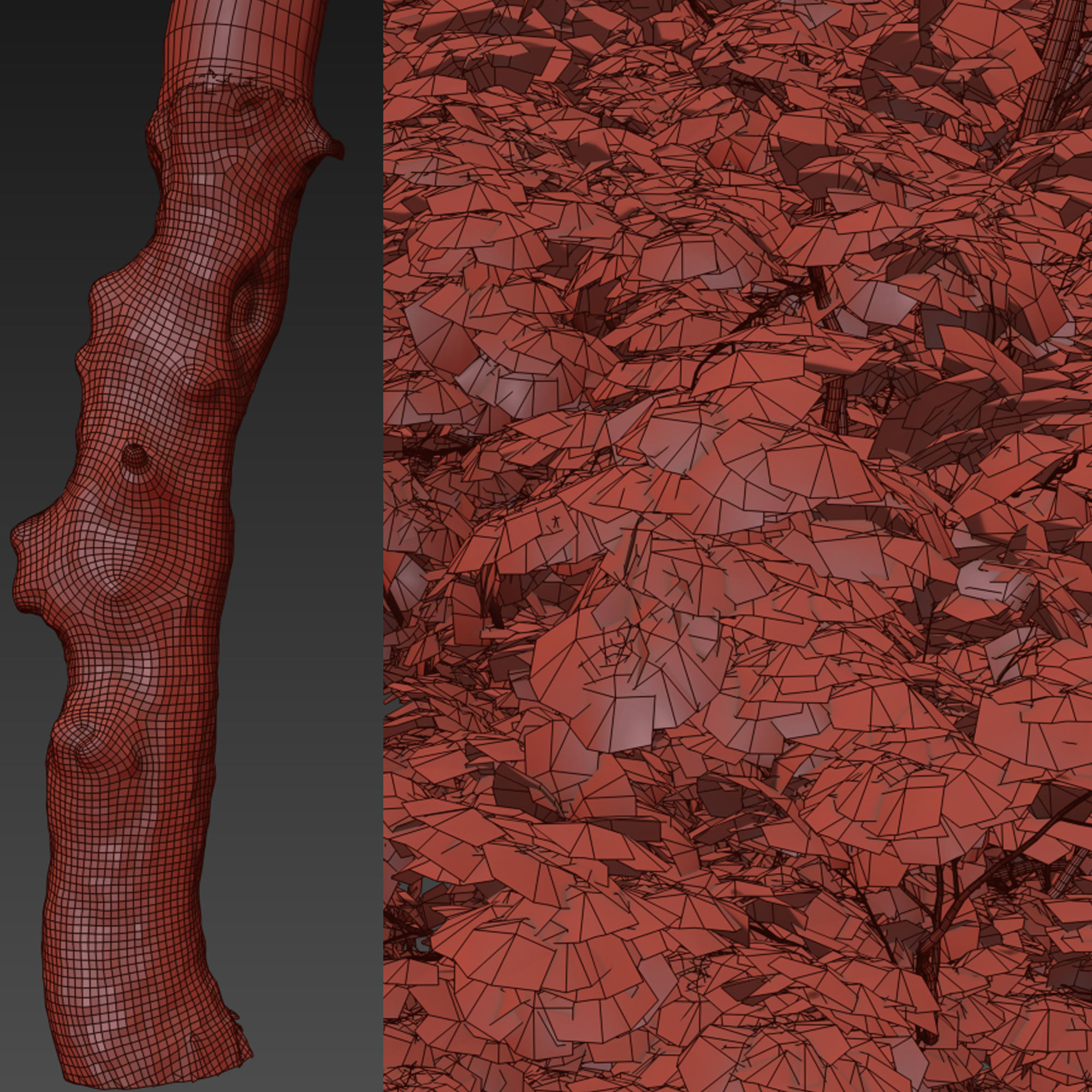 Ulmus minor 3D model_6