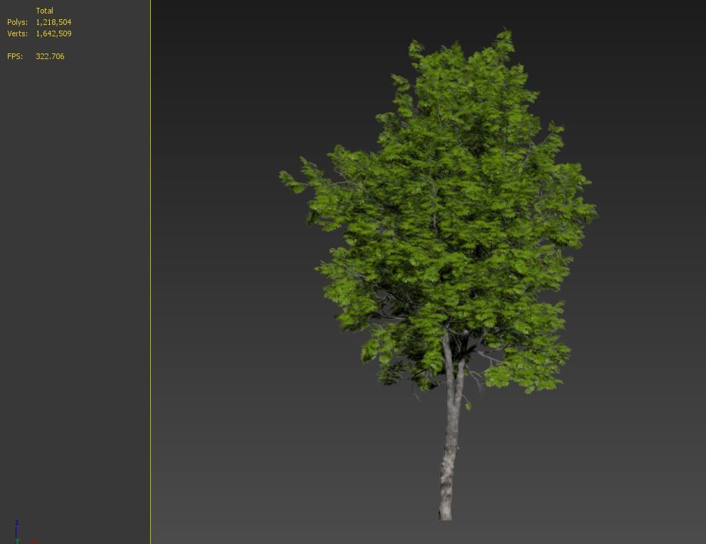 Ulmus minor 3D model_7