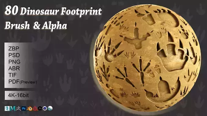 80 Dinosaur footprint brush and alpha