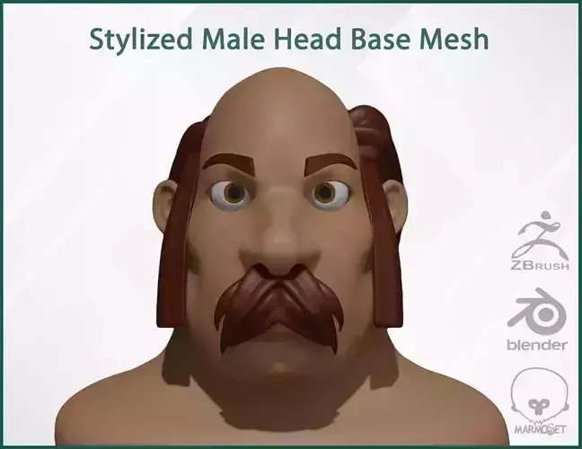 Male Head Stylized Base mesh with Hair in blender curve 2 Low-poly 3D model