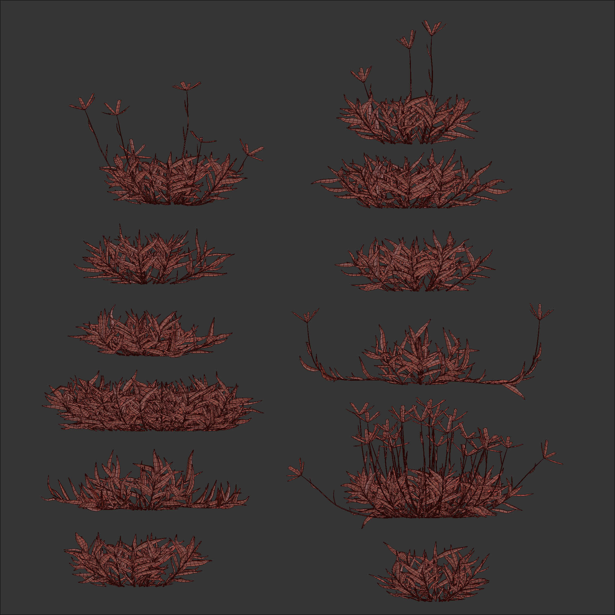 Bermuda grass 2 3D model_11