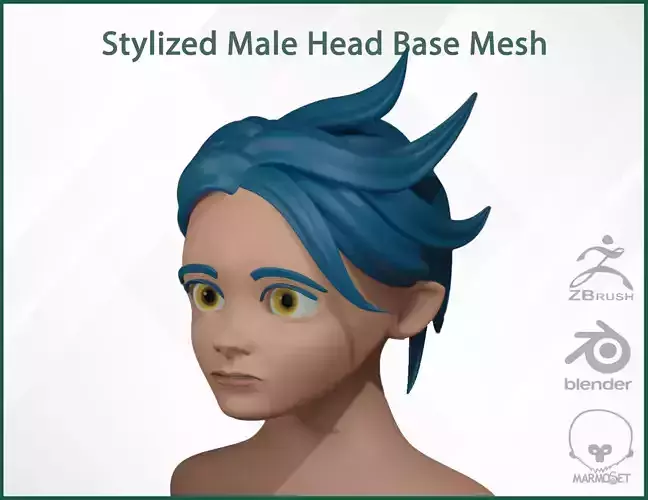 Male Head Stylized Base mesh with Hair in blender curve 3 Low-poly 3D model