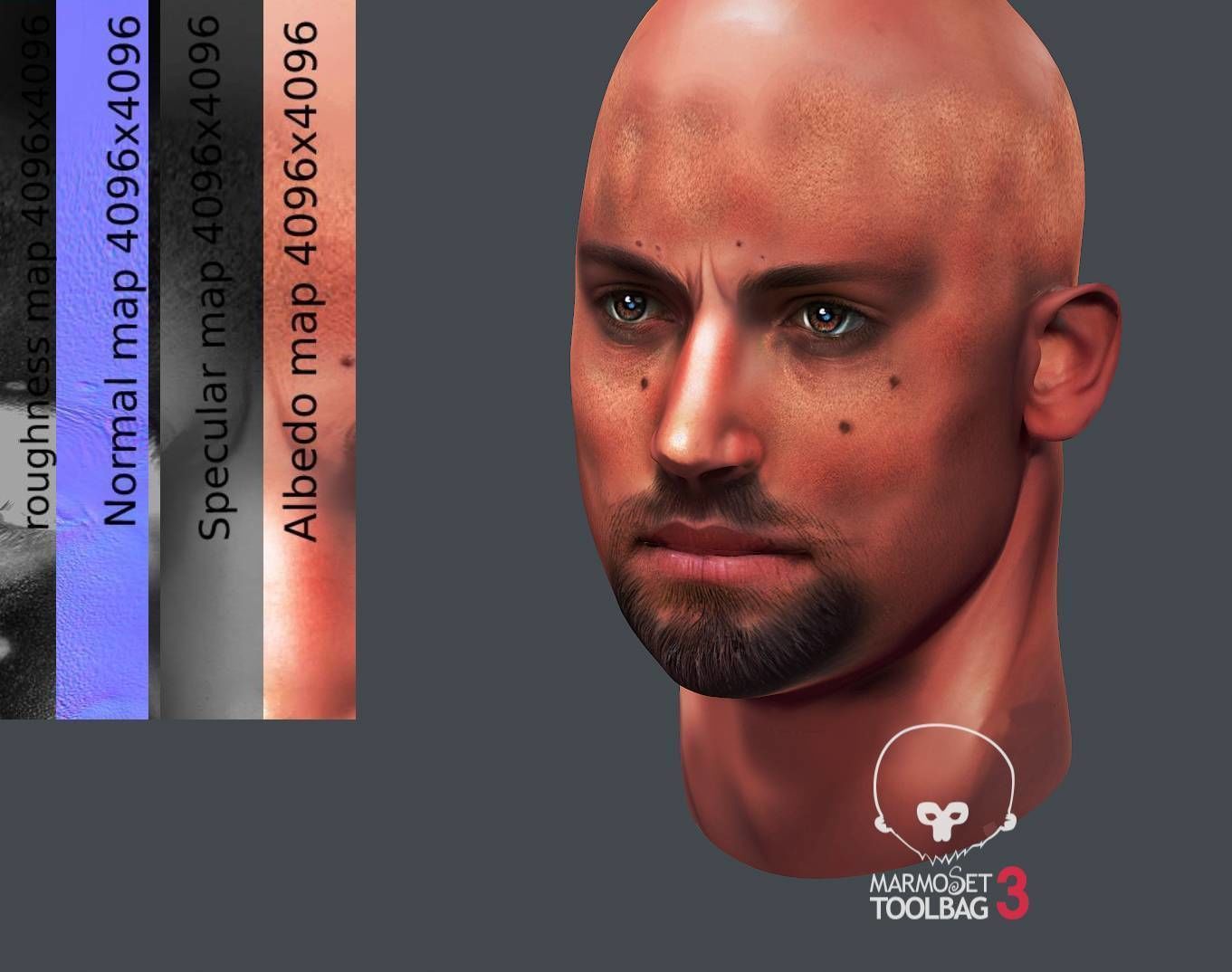 Male head Realistic Perfect Head Low-poly 3D model game ready Low-poly 3D model_10