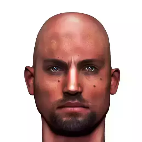 Male head Realistic Perfect Head Low-poly 3D model game ready Low-poly 3D model