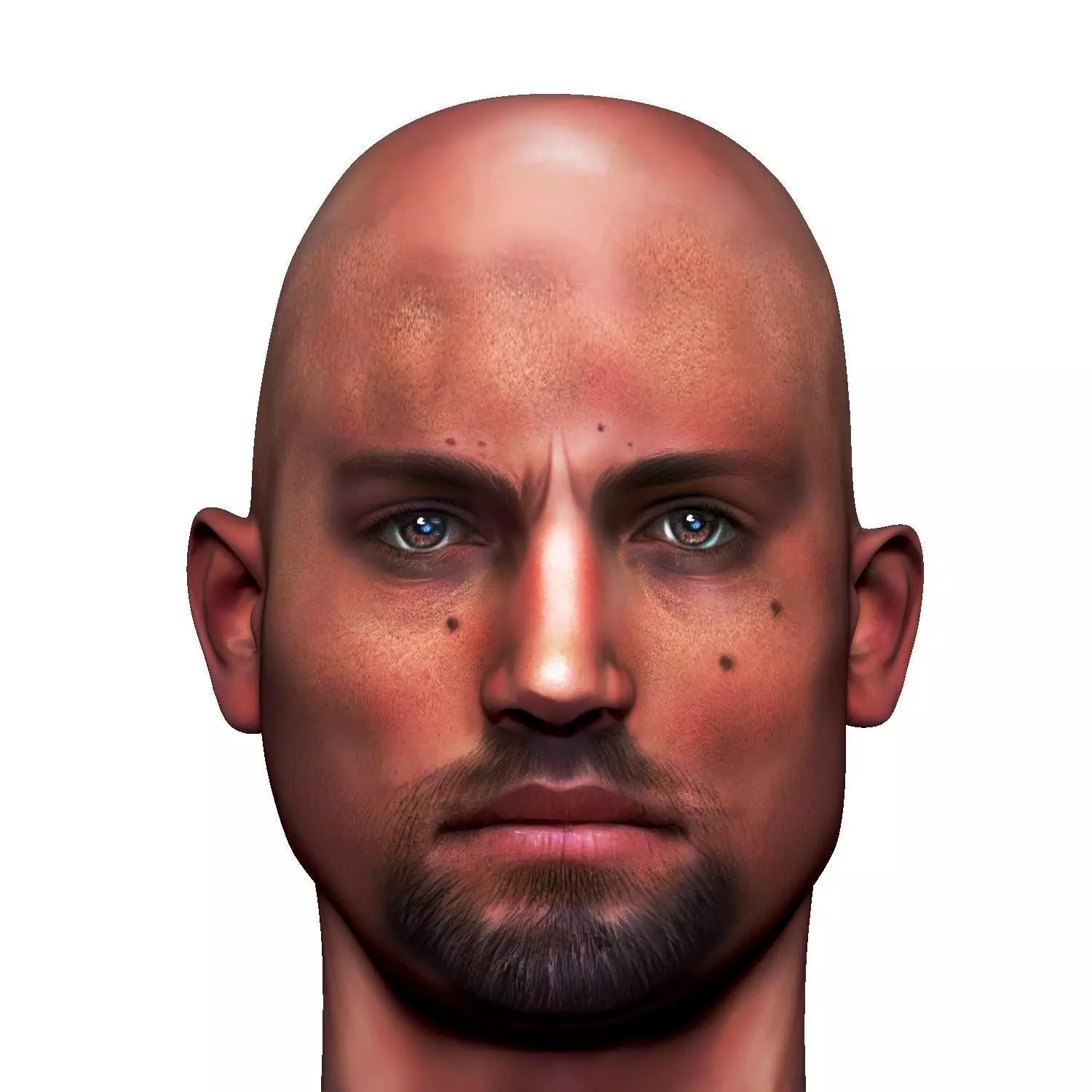 Male head Realistic Perfect Head Low-poly 3D model game ready Low-poly 3D model_0