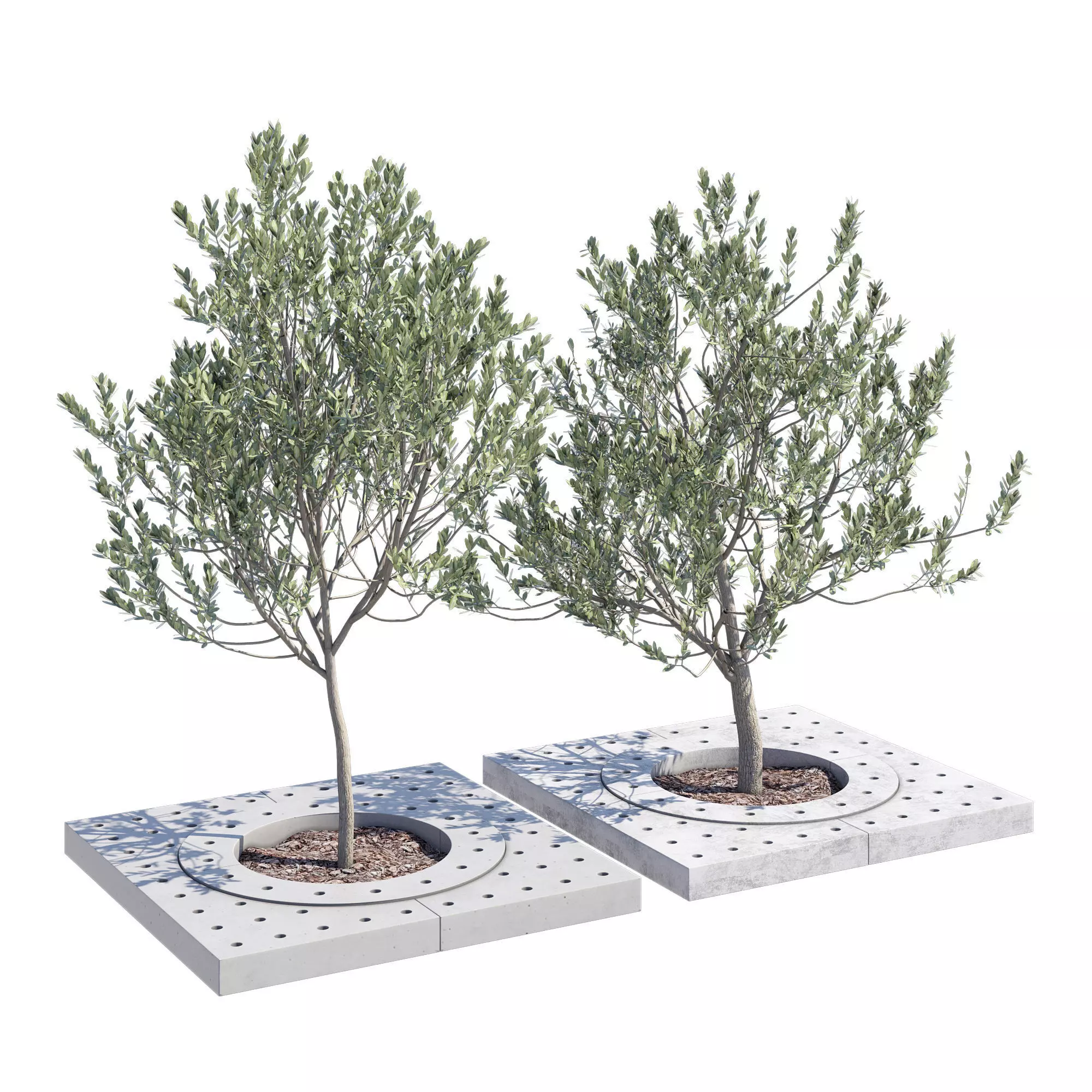 Surrounds two trees in concrete planter 3D model